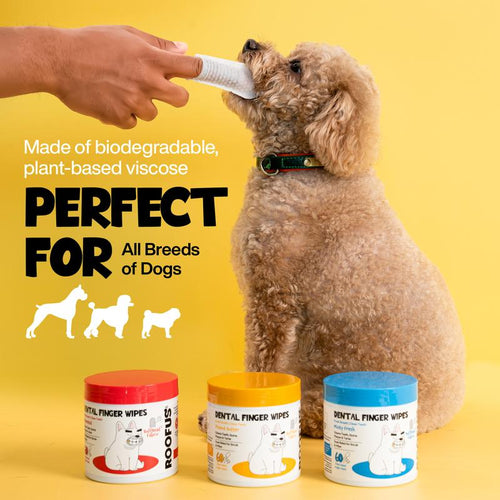 The Chomply™ No-Brush Dental Wipes